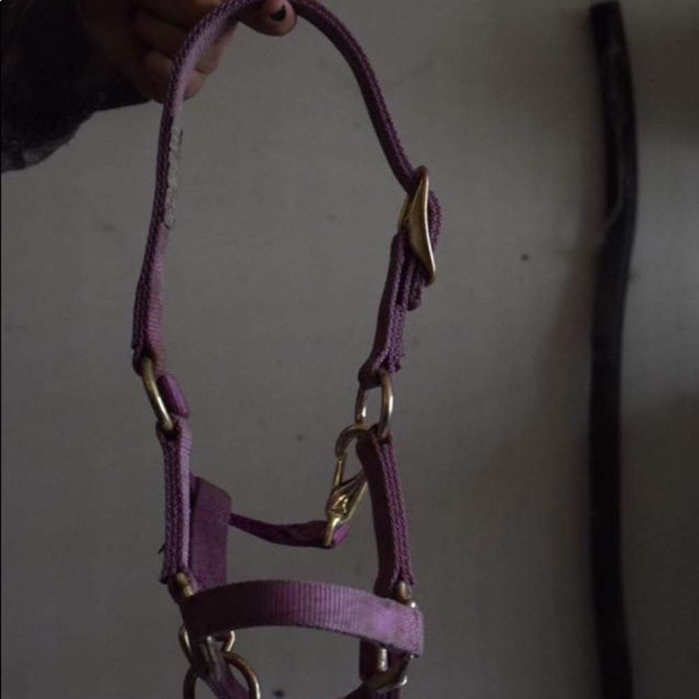 Halter